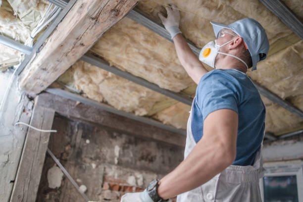 Best Professional Insulation Contractor  in Pine Grove Mills, PA